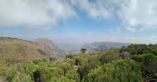 Hidden Gems: Explore the Serene Bush Veld Retreats of Limpopo