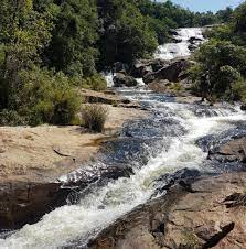 The Best Hiking Trails Near Rooiberg for Nature Lovers